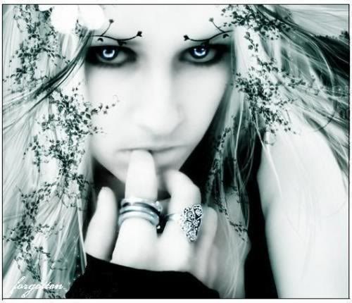 picture